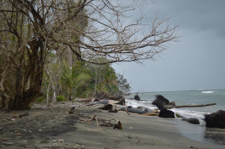 Coastal incursion in Costa Rica. Photo by Diego Ortiz