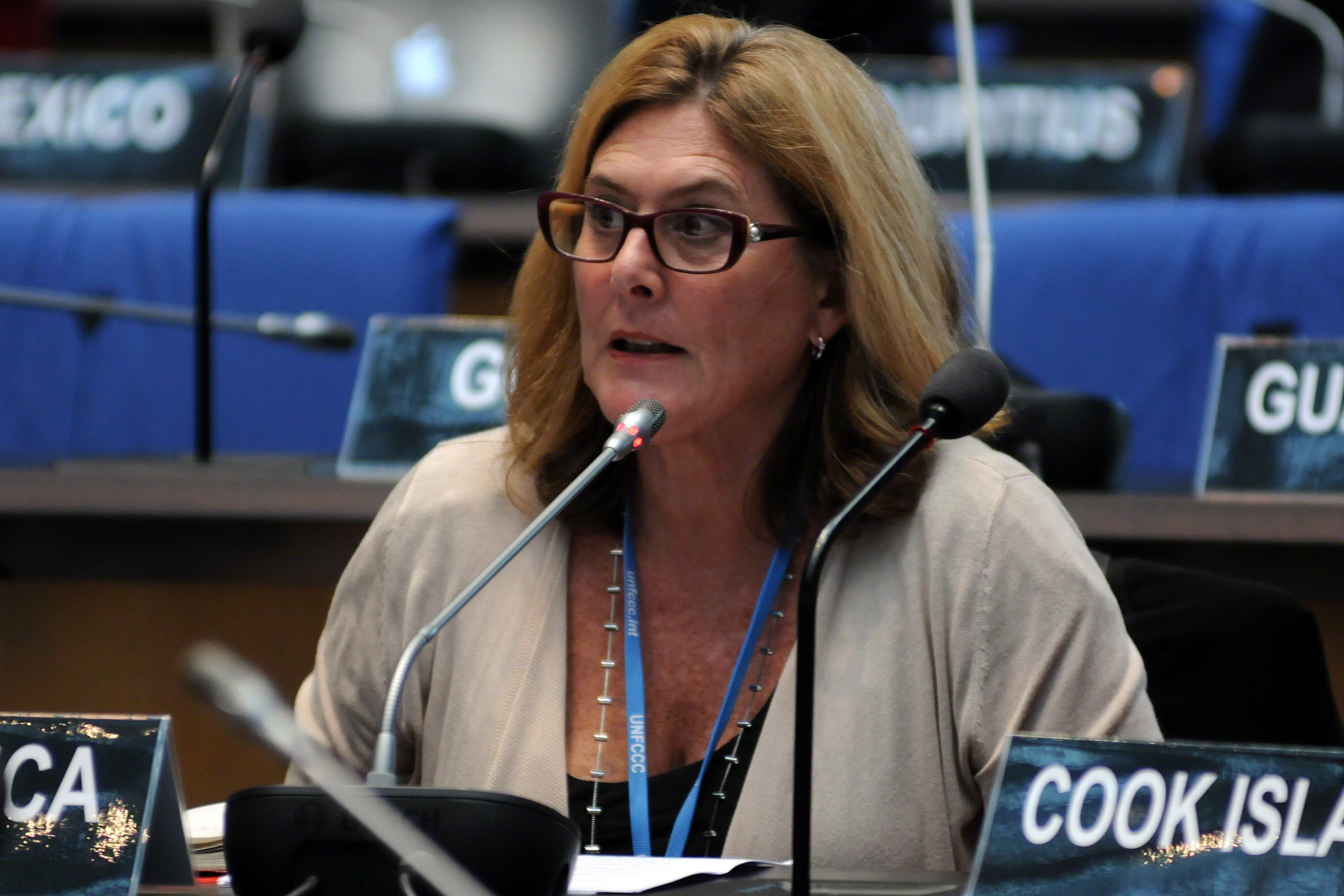 Giovanna Valverde Stark, president pro-tempore of AILAC, on the October session in Bonn. Image taken from IISD.