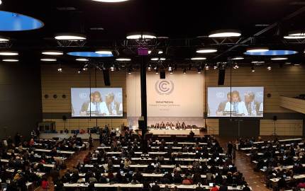 13241631_10153725652448865_1228076930_o