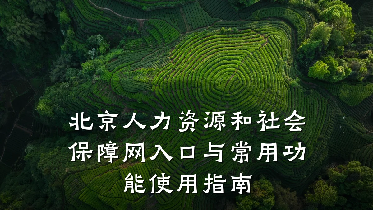 北京人力资源和社会保障网入口与常用功能使用指南
