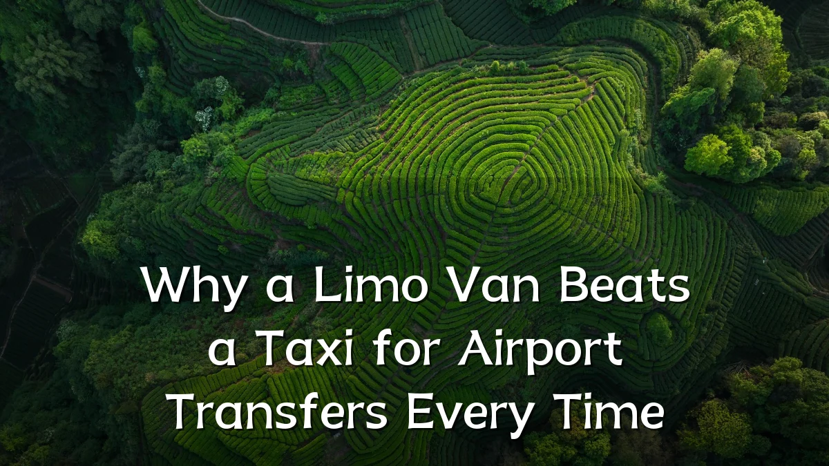 Why a Limo Van Beats a Taxi for Airport Transfers Every Time