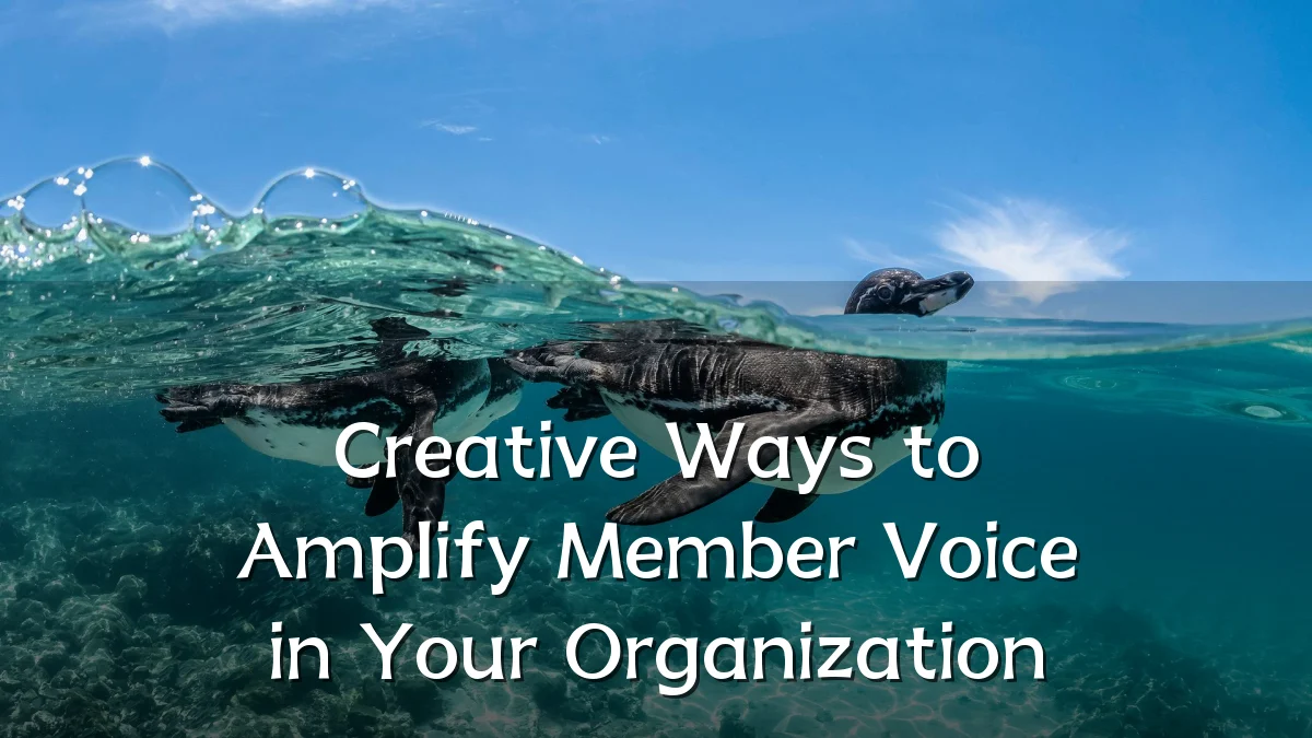 Creative Ways to Amplify Member Voice in Your Organization