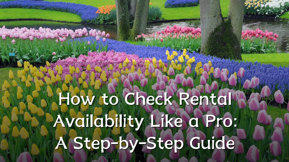 How to Check Rental Availability Like a Pro: A Step-by-Step Guide