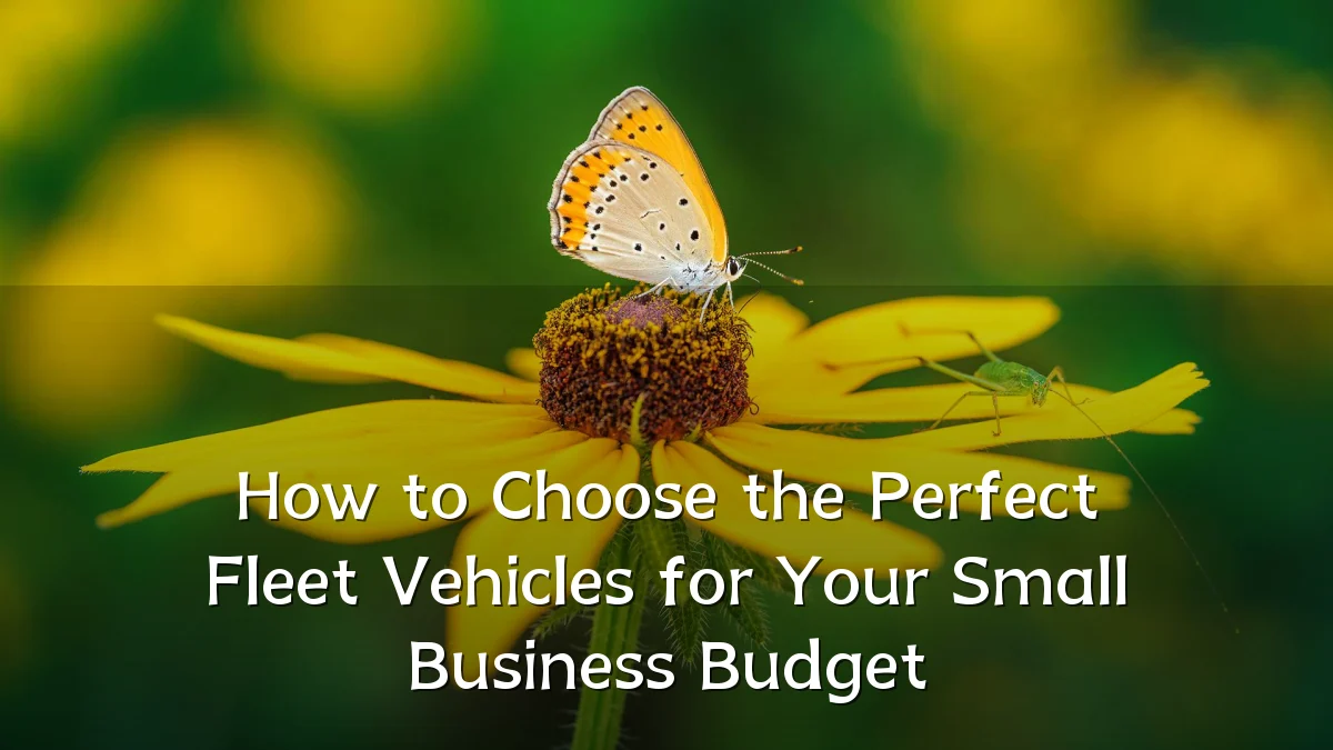 How to Choose the Perfect Fleet Vehicles for Your Small Business Budget