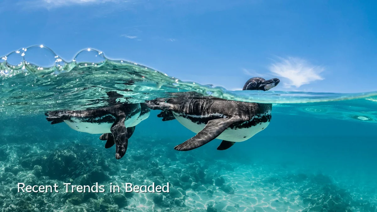 Recent Trends in Beaded