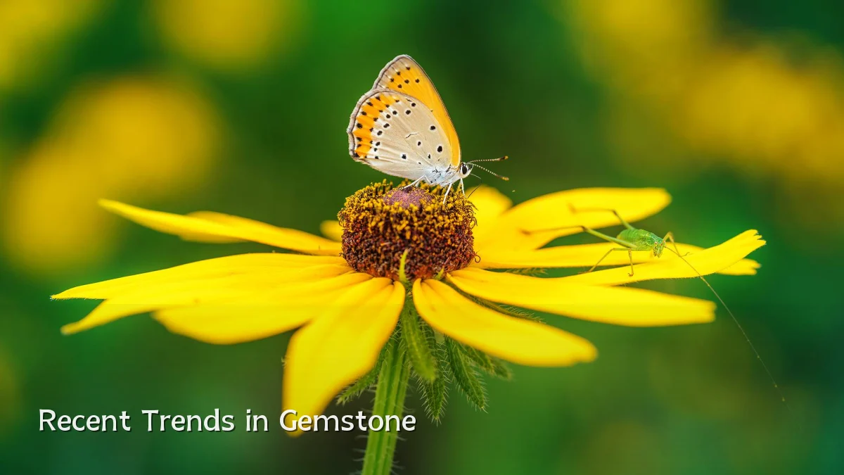 Recent Trends in Gemstone