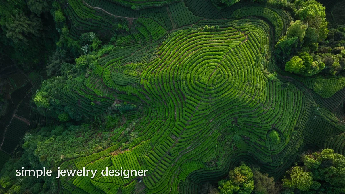 simple jewelry designer