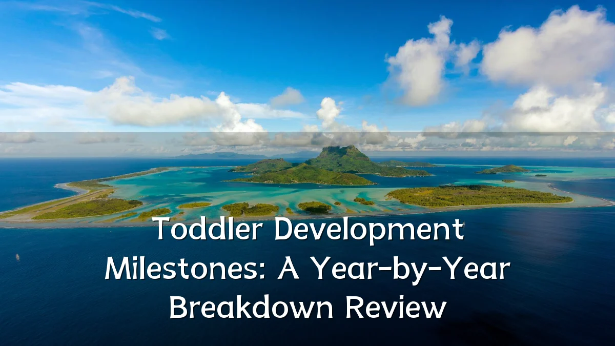 Toddler Development Milestones: A Year-by-Year Breakdown Review