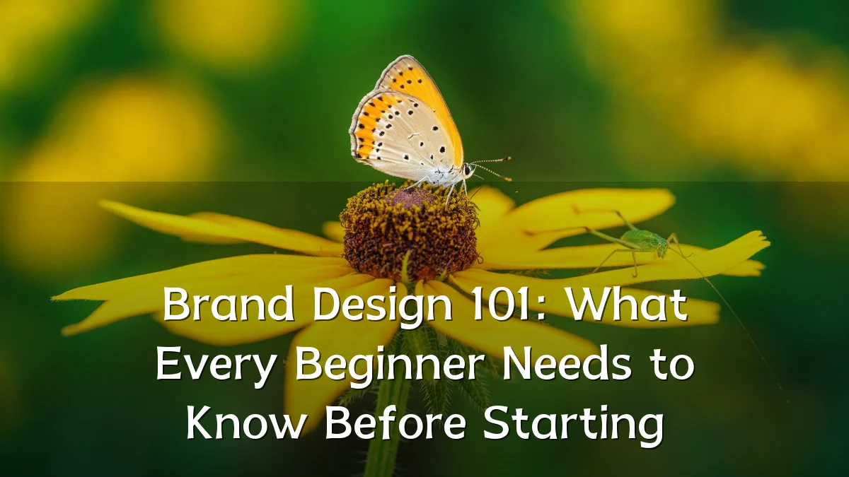 Brand Design 101: What Every Beginner Needs to Know Before Starting