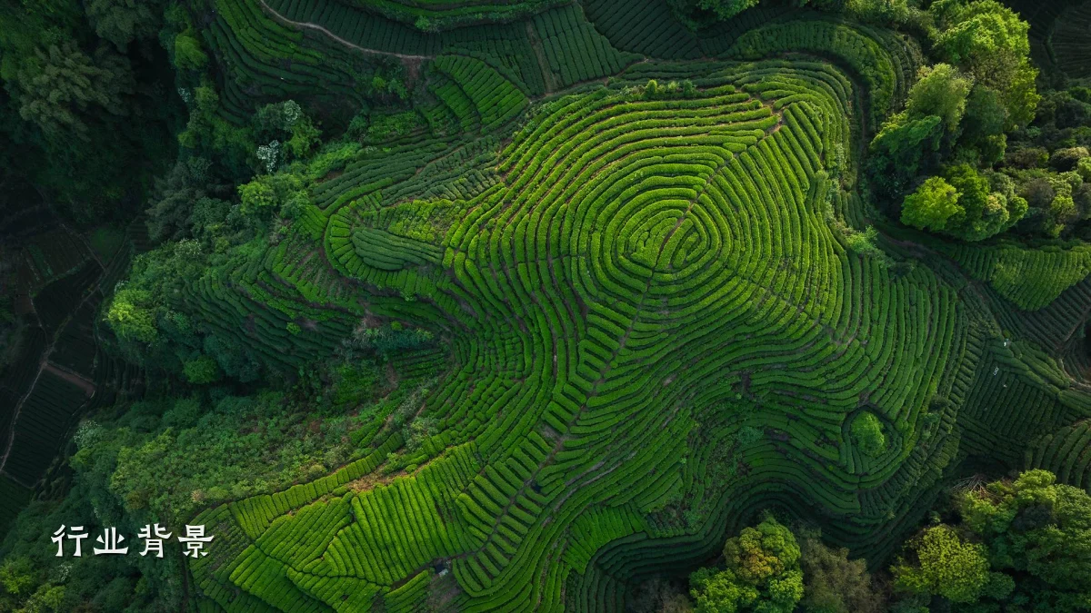 行业背景