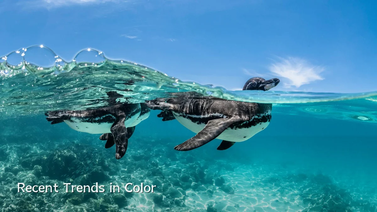 Recent Trends in Color