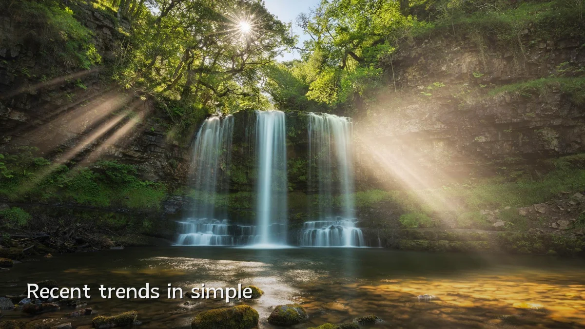 Recent trends in simple