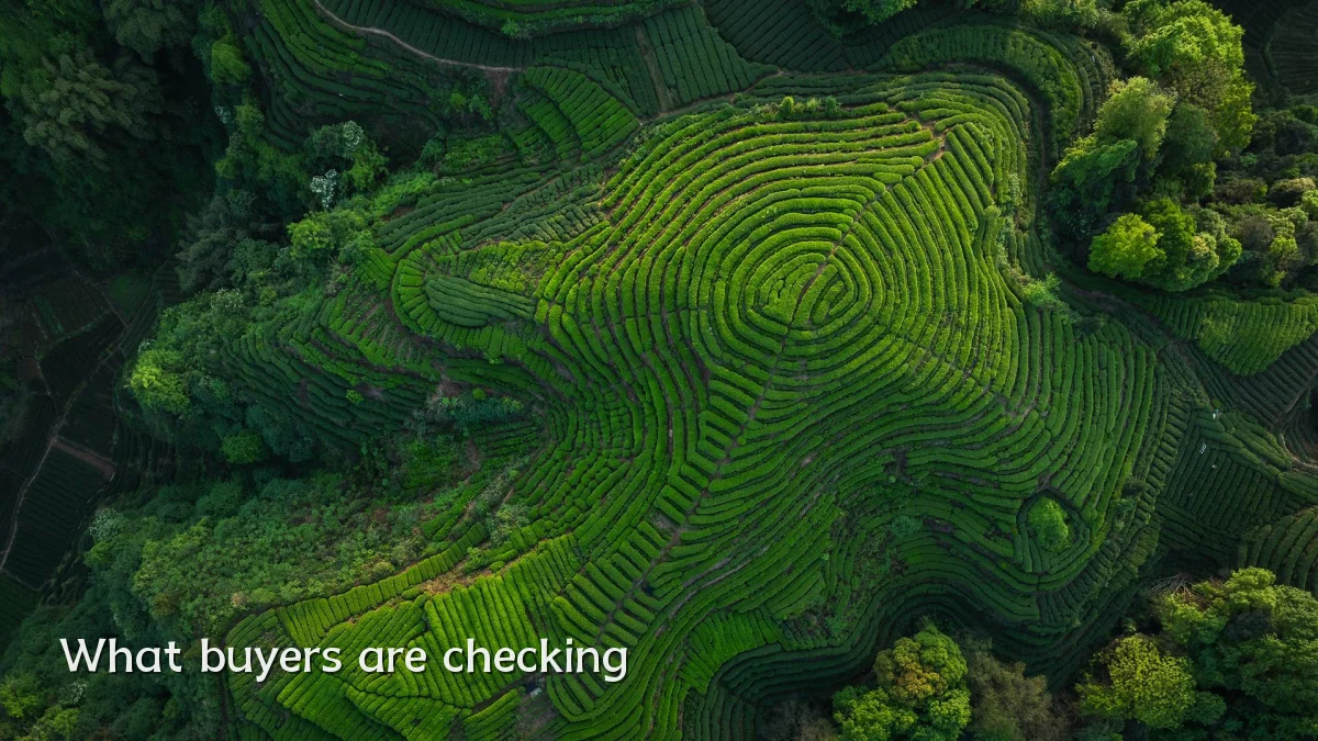What buyers are checking