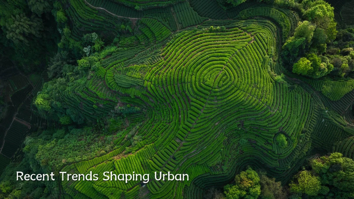 Recent Trends Shaping Urban