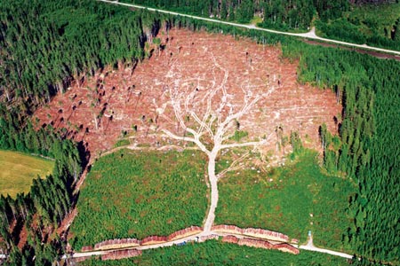 This pattern was created by logging tracks in Sweden!