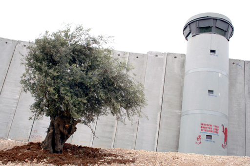 PENGON/Anti-Apartheid Wall Campaign Photo