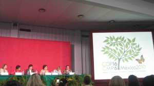 mujeres Cinco mujeres emprendedoras en las Relaciones Internacionales / Fotografía: Andrea Arzaba