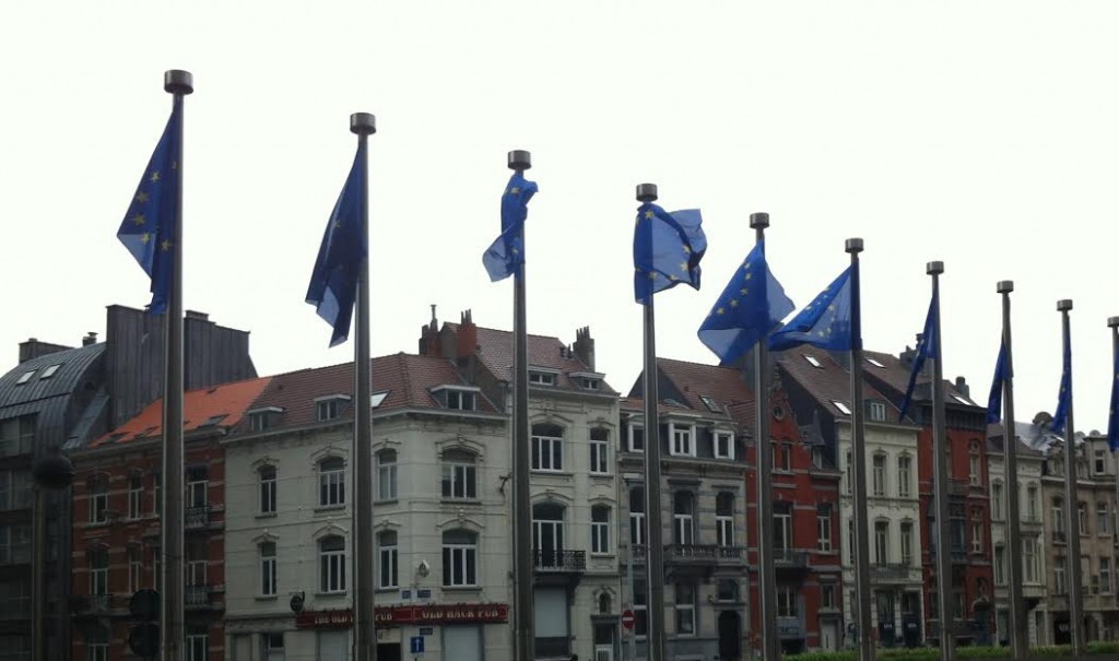 EU flags