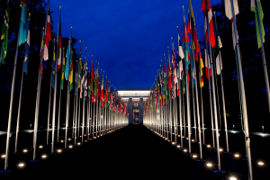 Daily Tck: UN climate talks in Geneva