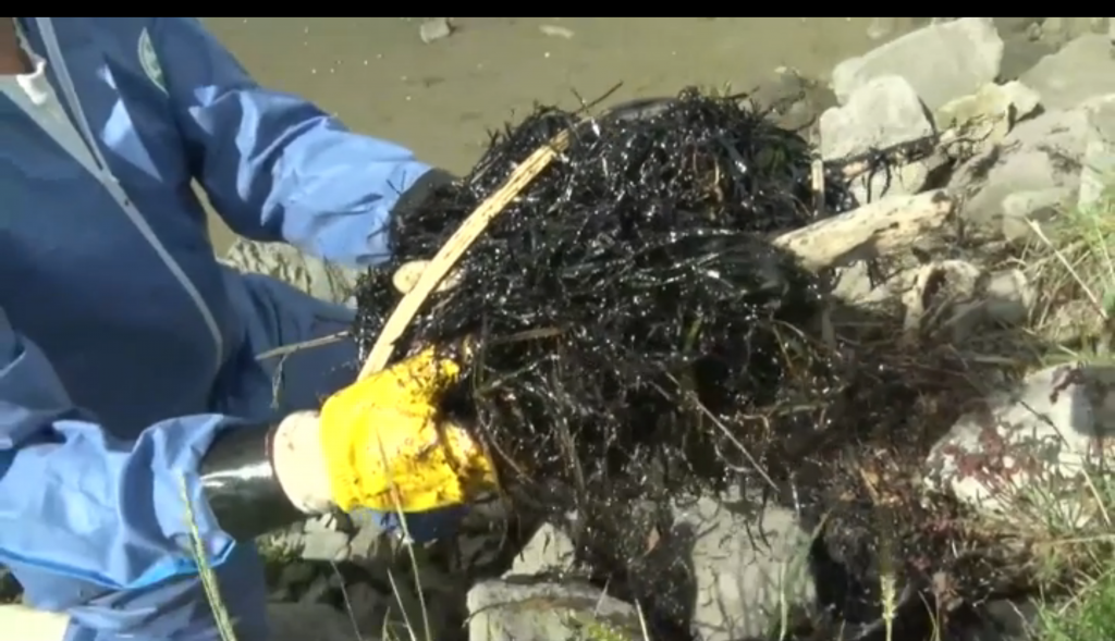 Screen Shot 2015-04-30 at 11.10.17 pm