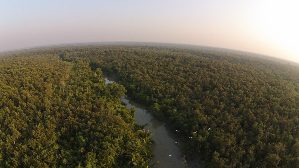 sundarbans_wikicommons