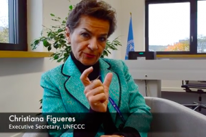 Screen Shot 2015-10-23 at 1.42.28 pm